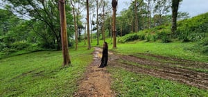 Juliana Hamon forest-1