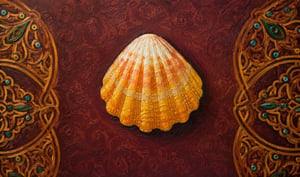 sunrise seashell-2